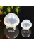 Takı Çiçek Numune Şeffaf 20MM Için Yuvarlak Küre Silikon Reçine Kalıp Epoksi Topu (Yurt Dışından) 5