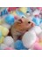 No.2 Tarzı Gösteri Olarak Hamster Pamuk Topları Kış Sıcak Hamster Yuvalama Malzemesi Renkli Sevimli Mini Toplar Küçük Pet Kafes Aksesuarları (Yurt Dışından) 2