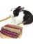 D Stili Alışveriş Merkezi Pet Diş Temizleyici Çiğneme Çubuğu Gül Aynısafa Lavanta Molar Çubuk Hamster Llas Tavşan Taşlama Çubuğu Bite Oyuncak (Yurt Dışından) 4