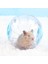 MAVI2-12CM Tarzı Plastik Açık Spor Topu Toplayıcı Sıçan Küçük Pet Kemirgen Fareler Koşu Topu Oyuncak Hamster Gerbil Sıçan Egzersiz Topları Oyun Oyuncakları (Yurt Dışından) 3