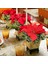 Yapay Çiçek Atatürk Çiçeği Kırmızı Demet Kadife Dokulu Christmas Flower 4