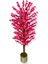 Fuşya Bahar Dalı 180 cm Yapay Ağaç 30X30 Metal Saksı 2
