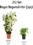 Beya Begonvil+ Itır Çiçeği 2' Li Set (Gül Damlası) Dış Mekan Bitkisi 1