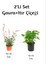 Gaura Çiçeği + Itır Çiçeği 2'li Set (Gül Damlası) Dış Mekan Bitkisi 1