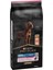 Proplan Large Athletic Somonlu 14KG Büyük Irk Yetişkin Köpek Maması Sensitive Skin Salmon Adult 1