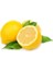 Yediveren Limon Fidanı 2 Adet 3 Yaş Tüplü ve Aşılı 5