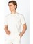 Erkek Regular Fit Rahat Sade Klasik T-Shirt 5