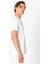 Erkek Regular Fit Rahat Sade Klasik T-Shirt 4