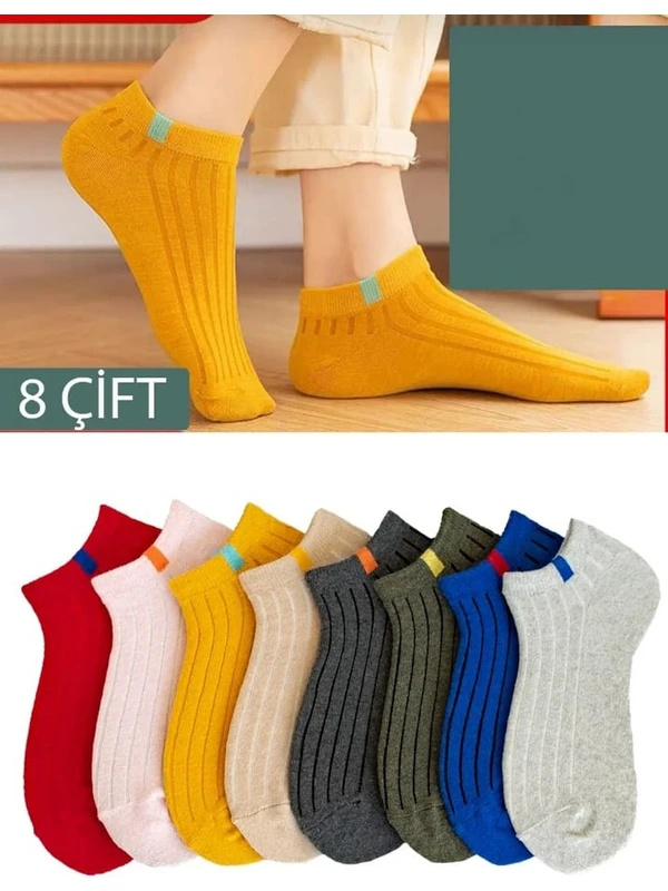 Boliva Çorap 8 Çift Renkli Kısa Yazlık Çorap