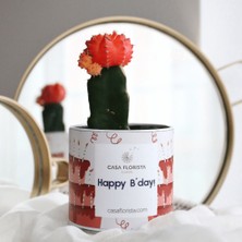 Casa Florista Kaktüs Cereus ( Happy Bırthday )