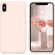 Casetify Apple iPhone Xs Kılıf Liquid Lansman Silikon Pudra