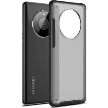 Microsonic Huawei Mate 40 Pro Kılıf Frosted Frame Siyah