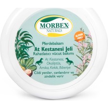 Morbeks At Kestanesi Jeli 500 Ml Alman Malı