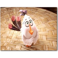 Caka Tablo Ahşap Tablo Angry Birds Filmi Kuş Tüyü Görsel