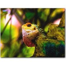 Caka Tablo Ahşap Tablo Doğal Yaşamda Iguana
