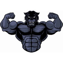 Sticker Atölyesi Panter Bodybuilding Sticker - 17246