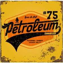 Tablosan Vintage Retro Görsel Kanvas Tablo