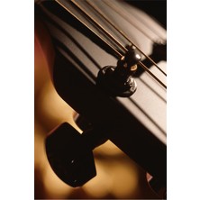 Tablosan Keman Kanvas Tablo