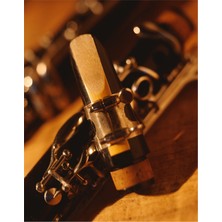 Tablosan Klarnet Kanvas Tablo