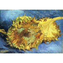 Tablosan Still Life With Two Sunflowers Kanvas Tablo
