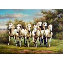 Tablosan Koşan Beyaz Atlar Kanvas Tablo