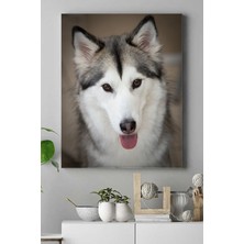 Postermanya Husky Hayvan Kanvas Tablo 21 x 30 cm