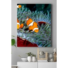 Postermanya Balık Hayvan Kanvas Tablo 21 x 30 cm