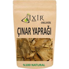İXİR WORLD ÇINAR YAPRAĞI 100gr