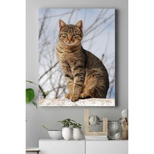 Postermanya Kedi Hayvan Kanvas Tablo 21 x 30 cm