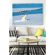 Postermanya Kutup Ayısı Hayvan Kanvas Tablo 21 x 30 cm