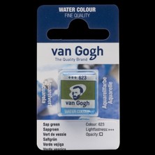 Van Gogh Sulu Boya Tablet No:623 Sap Green 1 Adet Yüksek Kalite Su Renkli Boya