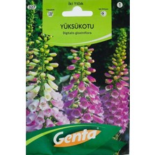 Genta Yüksük Otu Tohumu
