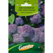 Genta Mavi Ageratum Tohumu