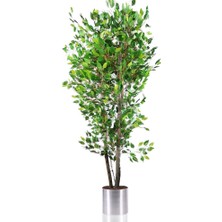 Nettenevime Yapay Ağaç 3 Gövdeli Yeşil BENJAMIN190 cm 1.kalite Yapay Çiçek Dekoru