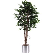 Nettenevime Yapay Ağaç 4 Gövdeli Yeşil BENJAMIN190 cm 1.kalite Yapay Çiçek Dekoru