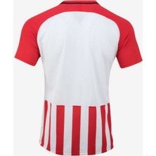 Nike 894081 Striped Division Iıı Jsy Kısa Kol Futbol Forma