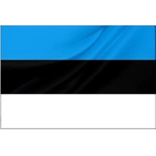 Rekbay Estonya Ülke Bayrağı Parlak Kumaş 70 x 105 cm