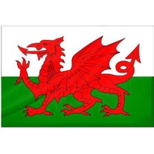 Rekbay Galler Ülke Bayrağı Parlak Kumaş 70 x 105 cm