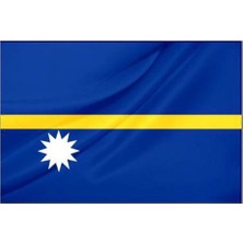 Rekbay Nauru Ülke Bayrağı Parlak Kumaş 70 x 105 cm