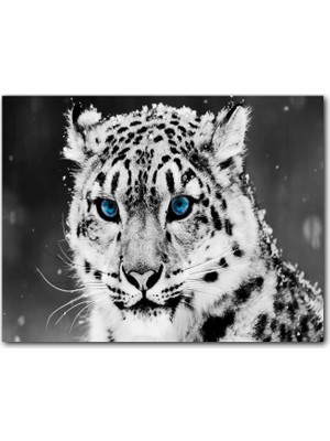 Caka Tablo Ahşap Tablo Kar Leoparı ve Mavi Gözleri