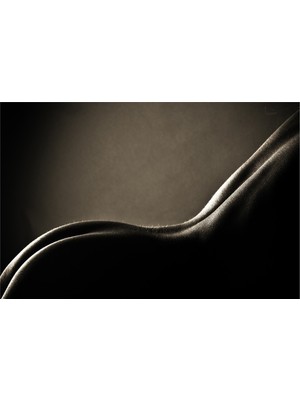 Tablosan Sanatsal Nü Kanvas Tablo