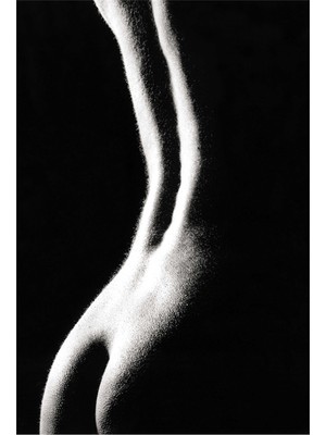 Tablosan Sanatsal Nü Kanvas Tablo