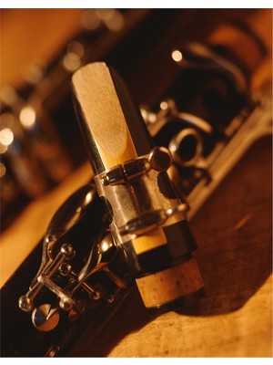 Tablosan Klarnet Kanvas Tablo