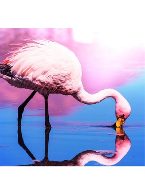 Tablosan Flamingo Kanvas Tablo
