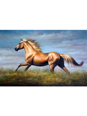 Tablosan Doğada Koşan At Kanvas Tablo