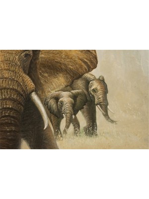 Tablosan İkili Fil Kanvas Tablo