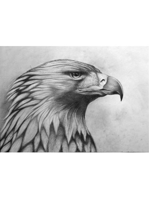 Tablosan Karakalem Kartal Kanvas Tablo