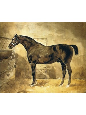 Tablosan Suluboya Siyah At Manzara Kanvas Tablo