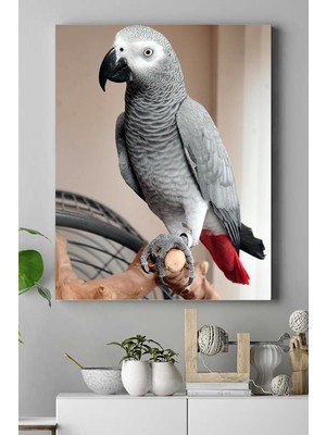 Postermanya Papağan Hayvan Kanvas Tablo 2 21 x 30 cm