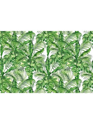 Özen Duvar Kağıdı Tropikal Yapraklar Duvar Kağıtları